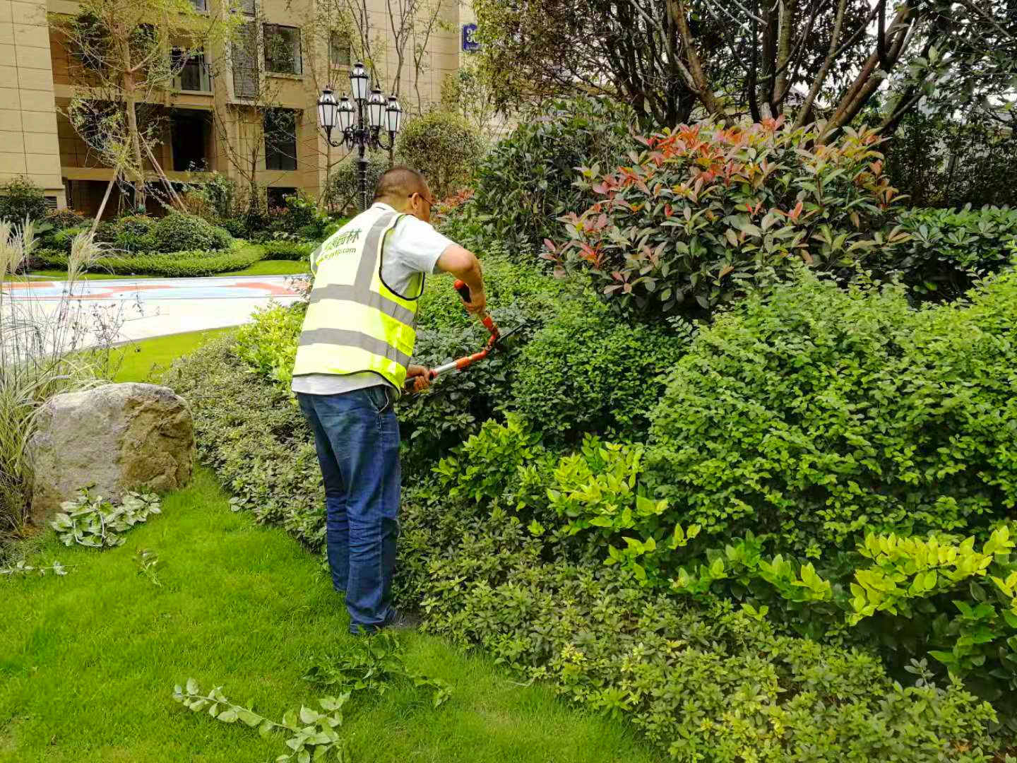 綠化養(yǎng)護(hù)4